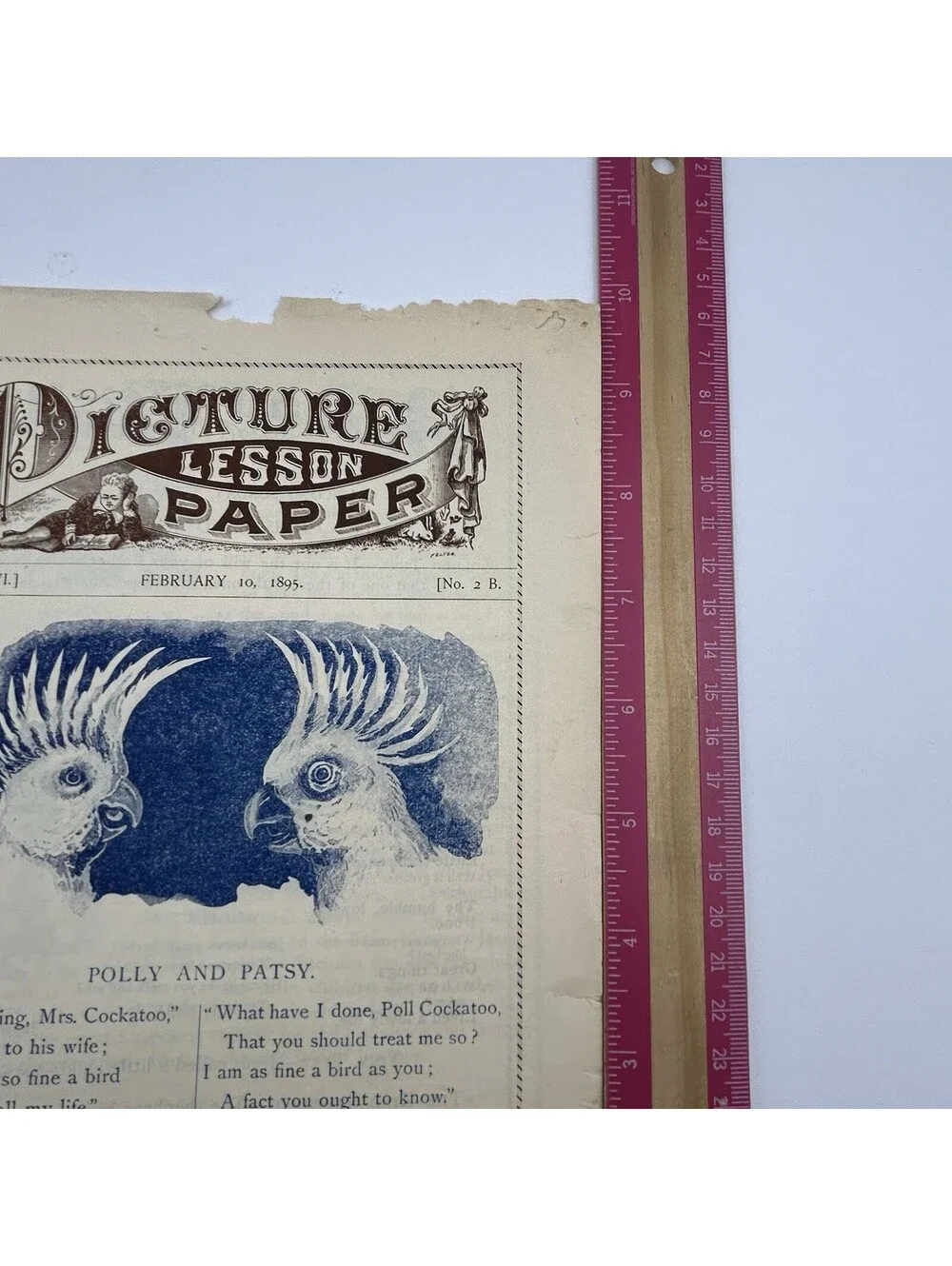 Antique 1895 Picture Lesson Paper Polly & Patsy Cockatoo Parrot Ephemera     C19
